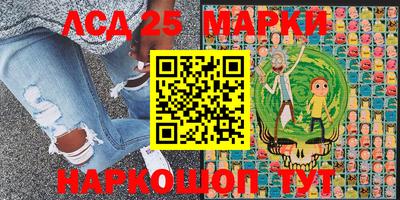 кокс Кингисепп