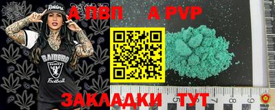 кокс Кингисепп