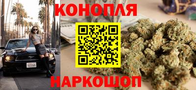 винт Шахты