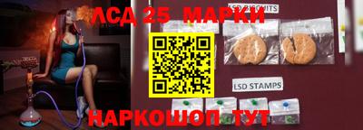 кокс Кингисепп