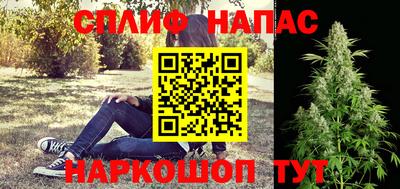 кокс Кингисепп