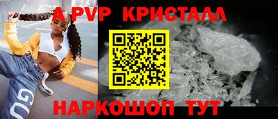 кокс Кингисепп