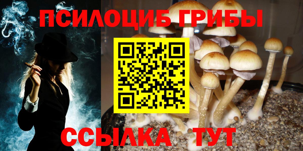 Псилоцибиновые грибы мухоморы Кандалакша