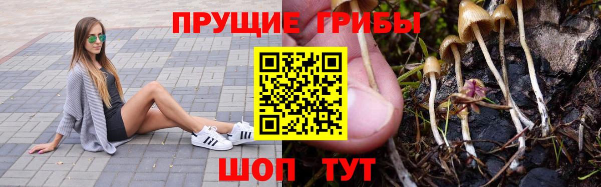 Галлюциногенные грибы Cubensis  Вход с VPN  Кандалакша 
